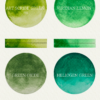 Green Collection - A pocket sized tin of four shades of green ranging from light, yellowish green, earthy mid tone to a dark bluish green. by Art Scribe