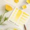 Hansa Brilliant Yellow - Image 2