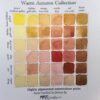 Warm Autumn Collection - Image 2