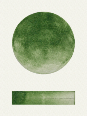 handmade watercolour Green Oxide - An earthy mid tone green. Recommended in a starter palette. Handmade Watercolour by Art Scribe. Hand mulled in Devon by professional artists.