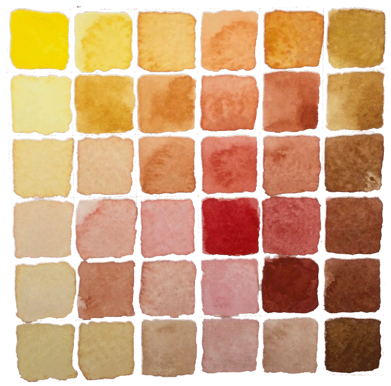 Images shows colour mixing chart for the Warm Autumn collection of colours .The colour ranges between yellows and oranges to reds and browns.